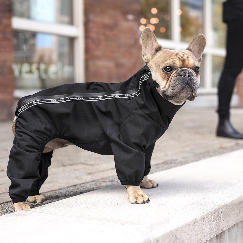 Canada Pooch Snow Suit - (Size 10)